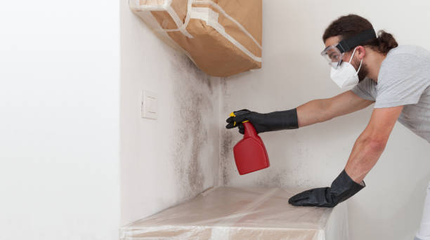 Professional Mold Removal technician working in Islip Terrace, NY