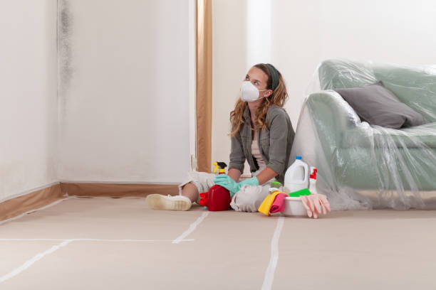 Reliable Mold Removal contractor in Islip Terrace, NY by WQB Mold Removal
